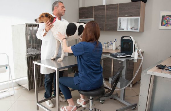 Υπερηχοτομογραφικός Έλεγχος