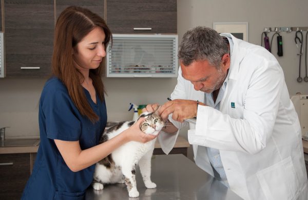 Παθολογικό