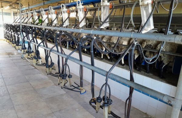 Ολιστική Διαχείριση Κτηνοτροφικών Μονάδων