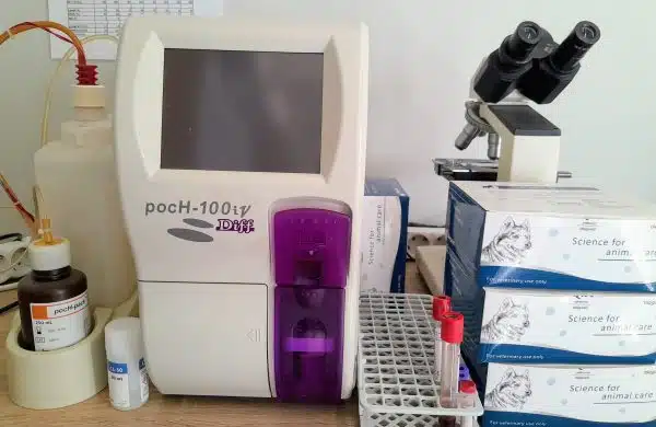 Εργαστηριακές Εξετάσεις